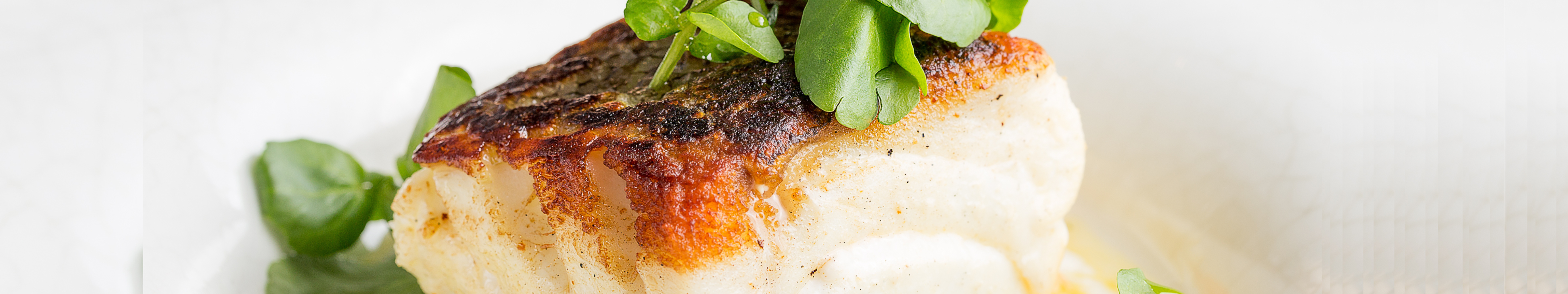 barramundi fish with Basil Vinaigrette on Potatoes Fritters - Steve Costi's Seafood