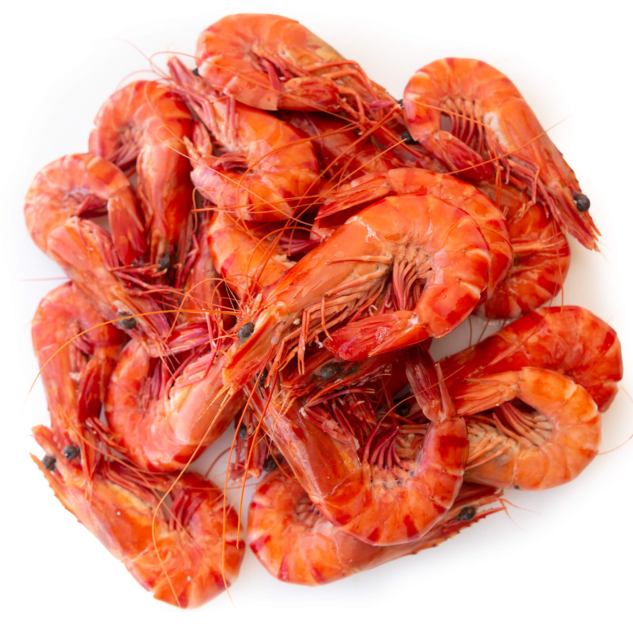 Cooked Tiger Prawns from Steve Costi seafood in Sydney