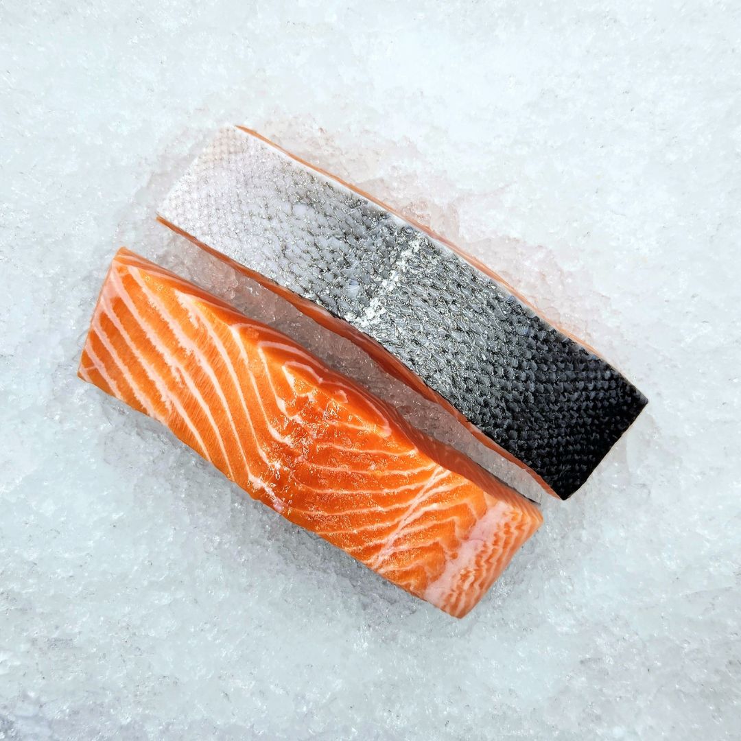 New Zealand King Salmon fillet Steve Costi seafood