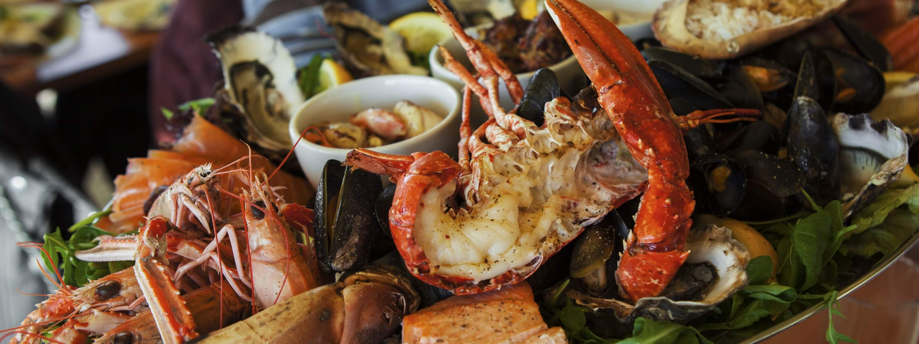 lobster, crabs, moreton bay bug and more seafood from steve costi seafood