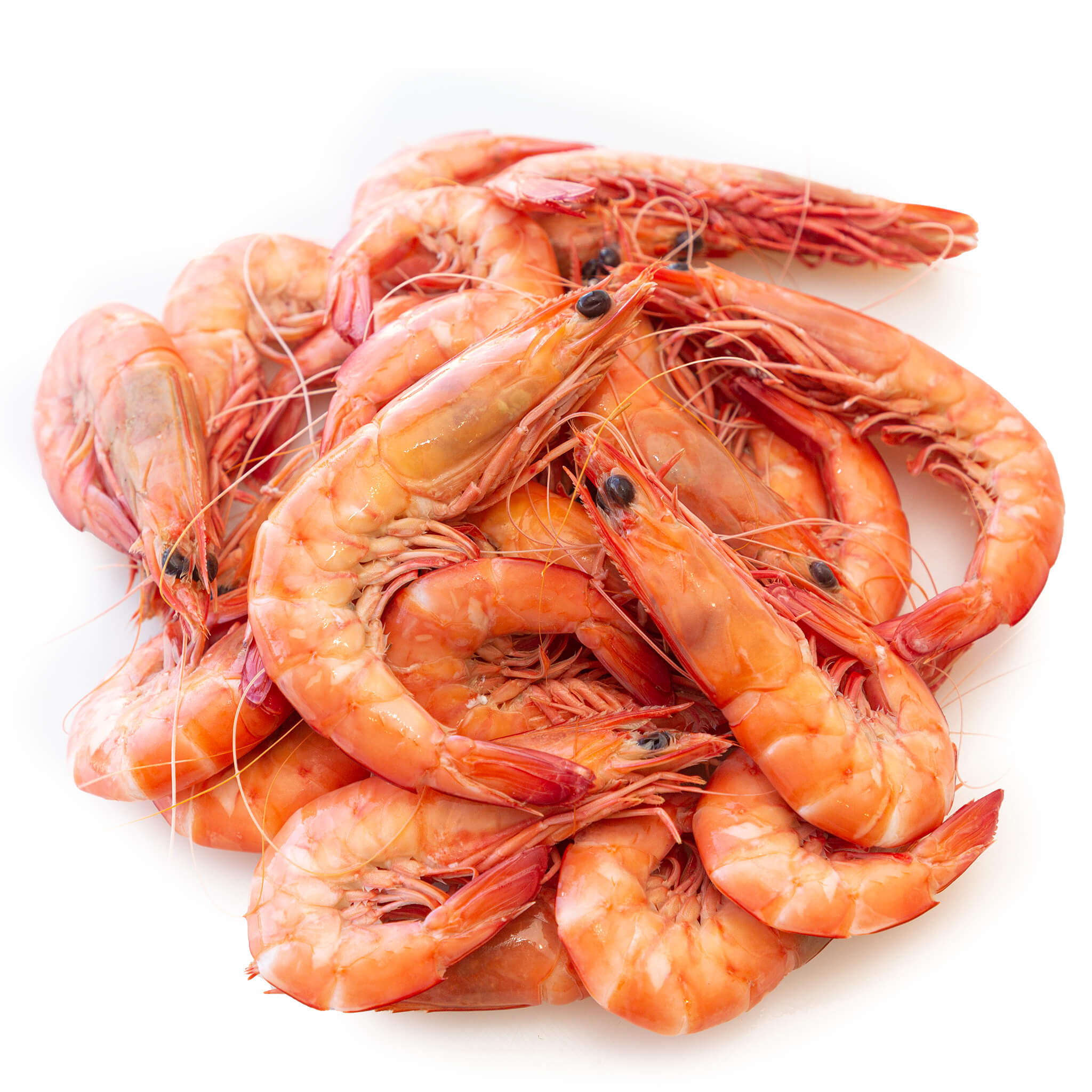 Cooked King Prawns from Steve Costi Seafood