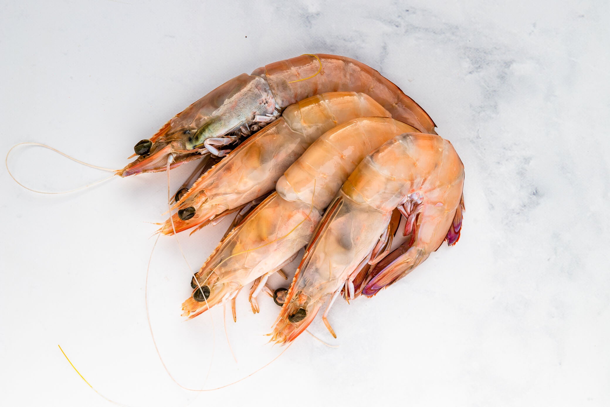 Frozen king prawns