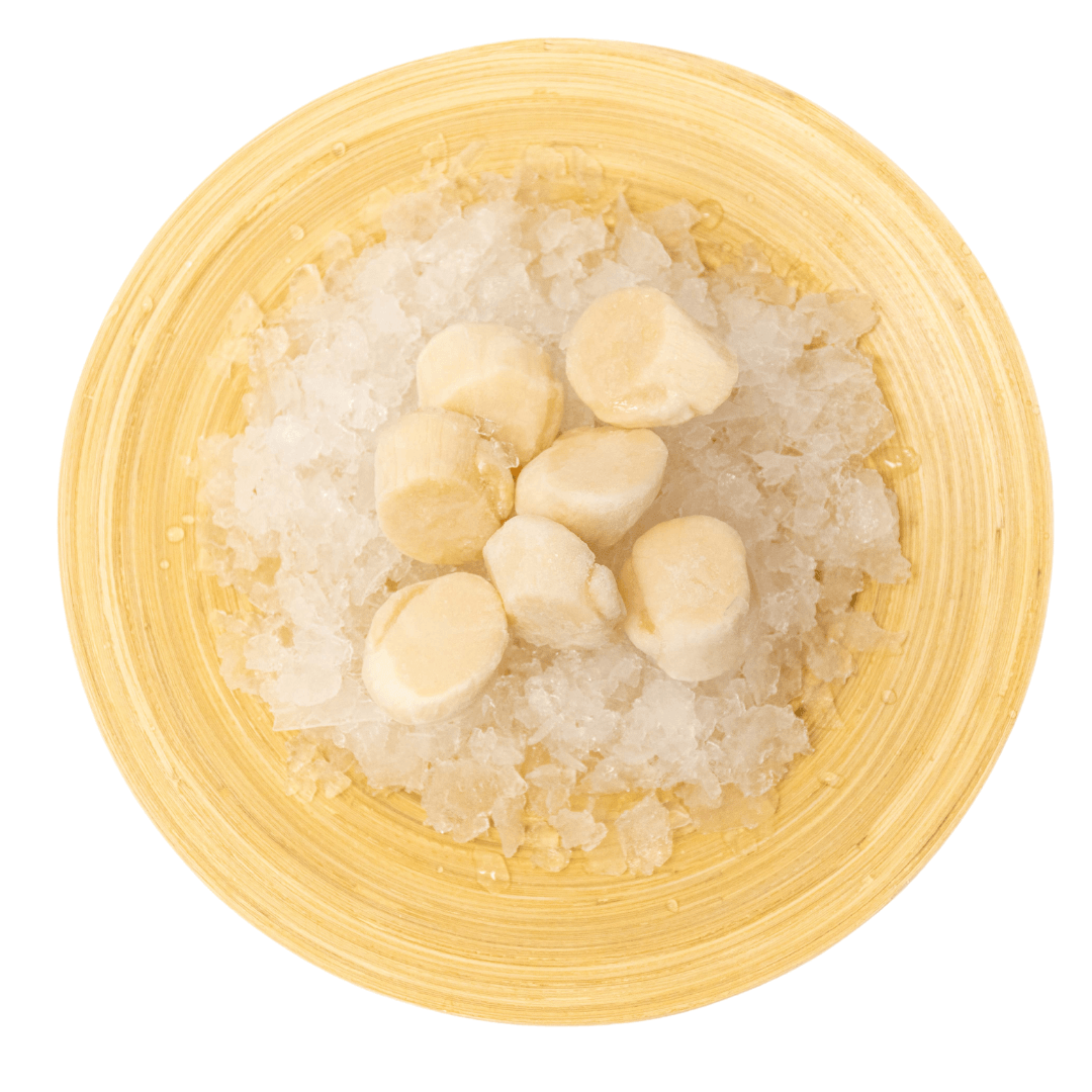 Hokkaido Frozen Scallops 1kg