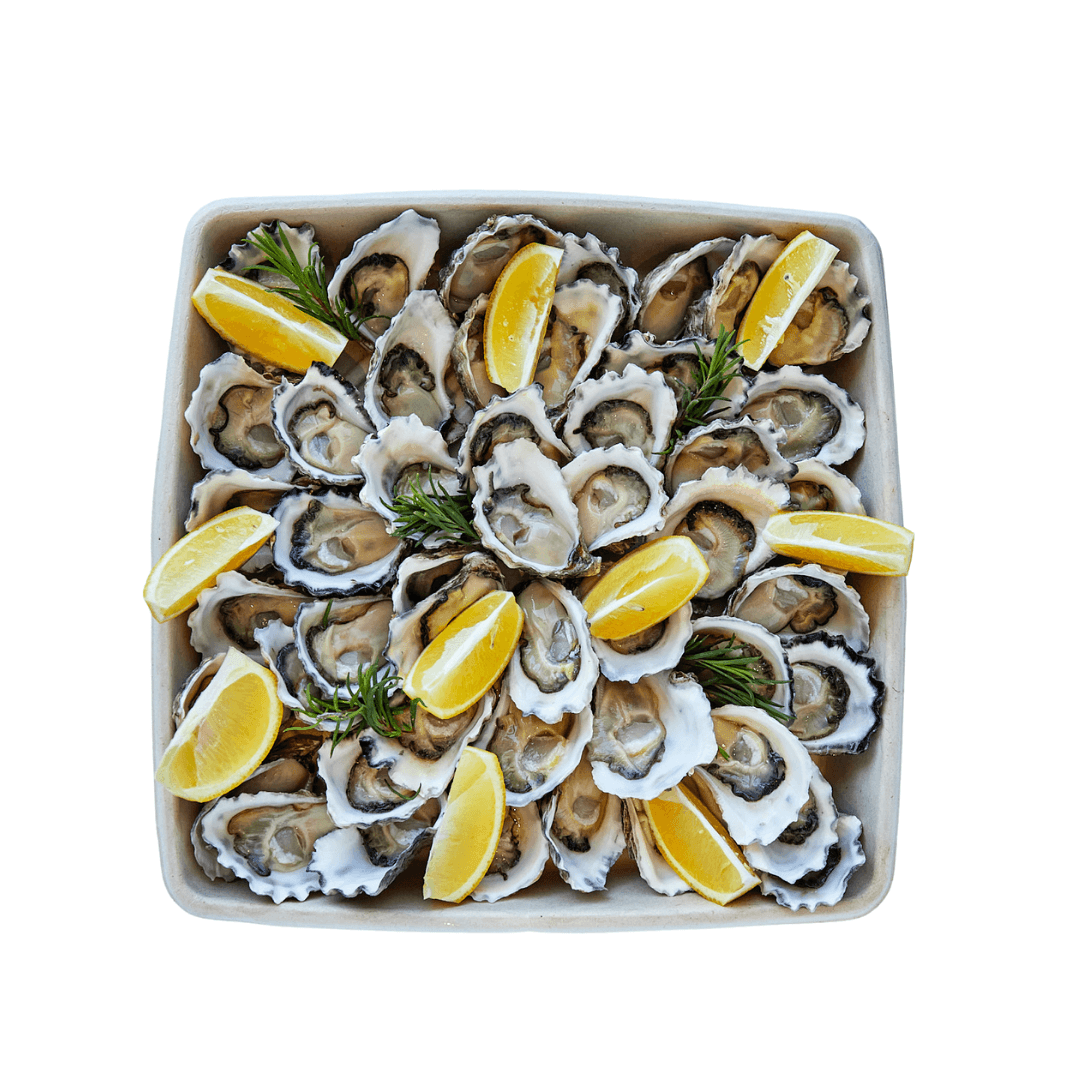 seafood platter with Sydney Rock Oysters for delivery in Sydney